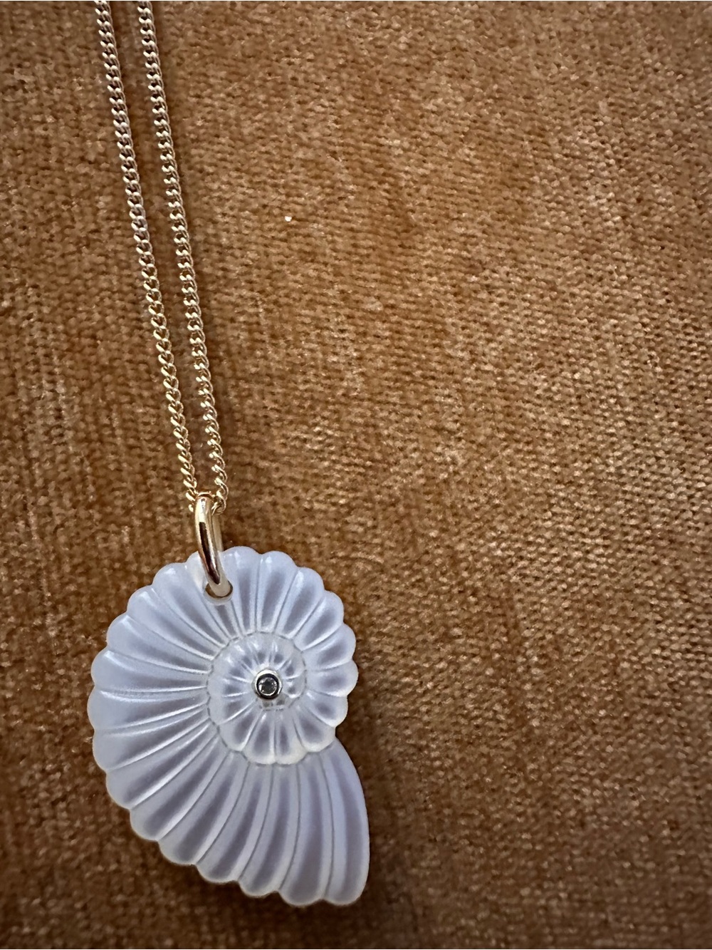 Electric Picks shell necklace